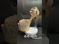 Download Lagu https://vt.tiktok.com/ZSApWBMA7/
