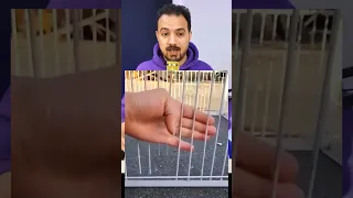 أغرب قفص الطيور   دندنها