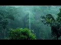 Rainforest Rain Sounds for Sleeping or Studying - White Noise Rainstorm 12 Hours