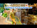 Laughlin 2025 Best things to do eat in Laughlin NV