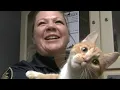 No adoption fees at Detroit Animal Care and Control s Be My Furry Valentine weekend