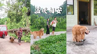 您帶我長大，我陪您變老，願時光再慢壹點，陪伴再多壹點～#反向消費的風吹到了中秋  #沃爾瑪壹逛就真香❤️#金毛路虎
