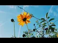 Download Lagu Every Night and Everyday, Never forget to say, Lailaha illallah || Best Relaxing Nasheed - English