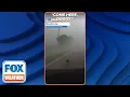 Download Lagu 'Come Here, Doggy!': Storm Chasers Save Dog Caught In Oklahoma Tornado