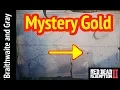 Braithwaite and Gray Secret Mystery Gold in Red Dead Redemption 2 RDR2 Where the death adder spits