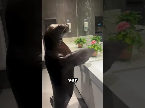 En Garip Düğün!
