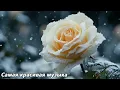 Download Lagu Осень начала свой первый танец🌿Золотая осень🌿Самая красивая мелодия в мире🌿Сергей Грищук