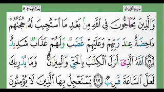 الجزء الخامس والعشرون من القران الكريم الشيخ الزين محمد احمد 