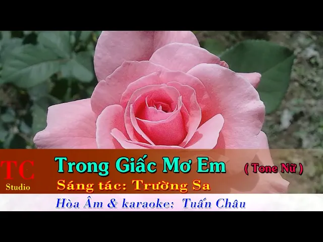 Trong Giấc Mơ Em ( karaoke Tone Nữ )