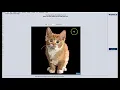 Beginners Tips How To Use Lunapic Photo Editor