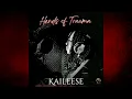 Download Lagu Kaileese - Hands of Trauma (Visualizer)