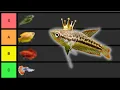The Best Nano Fish for Small Tanks No Filler Picks