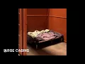 Camp Bow Wow Fort Mill Tour