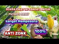 Download Lagu PIKAT BURCIL KOMBINASI SOGON RIBUT DAN  RIBUT MP3 ANTI ZONK SUARA JERNIH