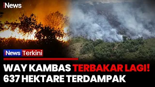 Way Kambas Terbakar Lagi! 637 Hektare Lahan Terdampak, Titik Api Baru Kembali Muncul | iNews Terkini