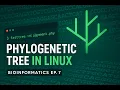 Phylogenetic Analysis on Bash Tree Building from Terminal Bioinformatics Ep 7