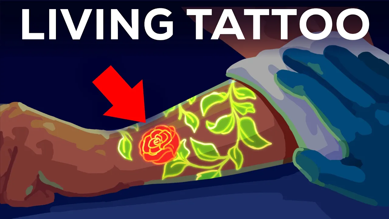 Outline Video Your Tattoo is INSIDE Your Immune System. Literally