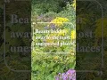 Download Lagu Beauty hidden away in the most unexpected places | Wildflowers | Pollinators | #shorts | #ytshorts