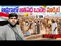 Lagu Inside Egypt’s Camel Market 🇪🇬 | Cairo | Africa Ep-97 | Me Mani