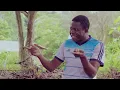 Download Lagu Dijoncté est entrain de perdre la chefferie au profit d'un riche qui n'est même pas de la lignée 