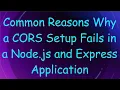 Common Reasons Why a CORS Setup Fails in a Node js and Express Application