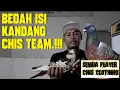 Download Lagu SPILL MERPATI PLAYER TEAM CHIS CLOTHING