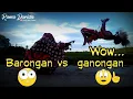 Download Lagu Story wa- barongan vs bujang ganong_mantap