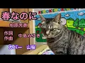 春なのに／柏原芳恵【歌ってみた】Cover 小春(ウサギ)とピンピン(猫)のドラマ映像　歌詞付きHarunanoni/Yoshie Kashiwabara 【Cover】cat and rabbit