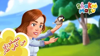عصفوري من كفي طار                                          دندنها