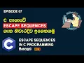 Escape Sequences in C programming C Programming Tutorial Episode 07 SL Android