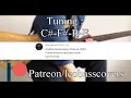 Blue (A Perfect Circle) - Bass Cover (With Tabs) by Leo Düzey