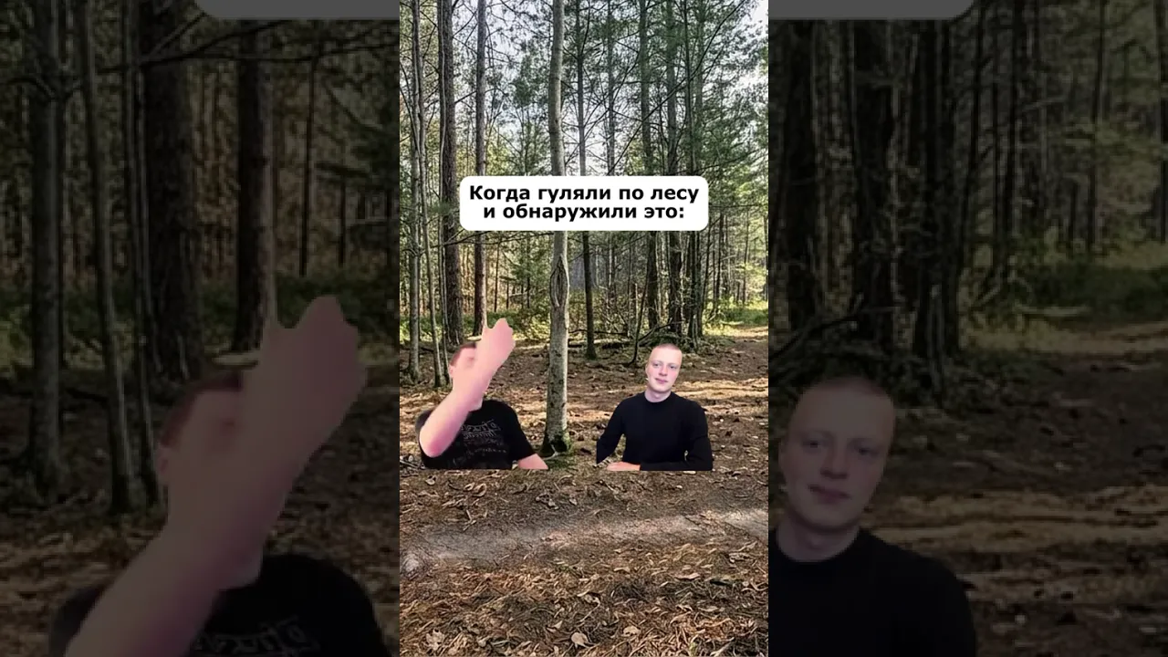 когда пошли за грибами