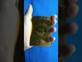Ultra Charizard GX golden Pokemon card 150000 hp