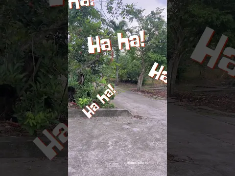 Cây kẹo này hả!??? #kenfamily #haihuoc #funny