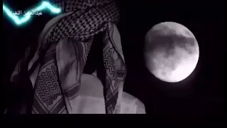 شيلة فتحت باب الكلام دندنها