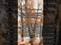 Download Lagu Surat An-Nisa Ayat 146