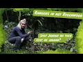 Download Lagu Rangers in het Regenwoud - Aflevering 4: Jaguar in beeld
