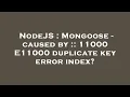 NodeJS Mongoose - caused by 11000 E11000 duplicate key error index