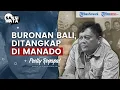 Download Lagu Cerita di Balik Penangkapan Kamal di Manado, Buronan Polda Bali Bvnvh Pacar di Kuta I SAKSI KATA