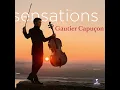 Symphony No. 9 in E Minor, Op. 95, B. 178 "From the New World": II. Poco adagio