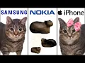 Download Lagu OIIAOIIA CAT but Famous Phone Ringtones