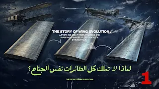 قصة تطور الأجنحة  كيف طو ر الإنسان أجنحة الطيران  دندنها