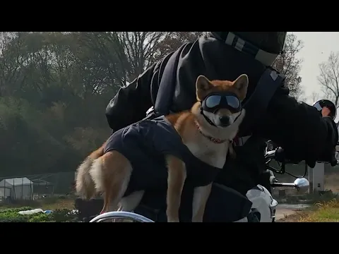 無人航空機2等免許取得！補助者有！イメージ動画の撮影、物件、ウェディングムービー