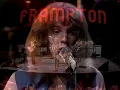 NEW 📀 Show Me The Way - Peter Frampton "Live" -4K- {Stereo} 1976