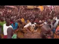 Lagu Muddy Ibe - Ogalanya bu omume Omume (Igbo Folk Highlife)