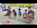 Download Lagu 1 Ngày Lội Bùn Bắt Toàn Cá Khủng | Min Min TV Minh Khoa