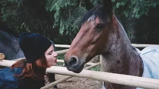 Camped with Horses – Moto Dog Diaries 6