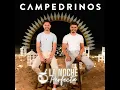Zambas Carperas: La Taleñita / De Alberdi / Solo por Verte Bailar / Del Chúcaro - Campedrinos