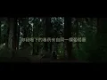 David Kushner - Daylight (Chinese Simplified Lyric Video) (Official)
