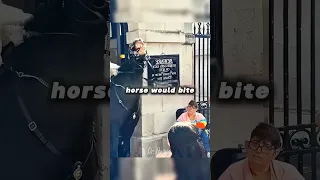 اتجاه الطيور  اتجاه الطيور